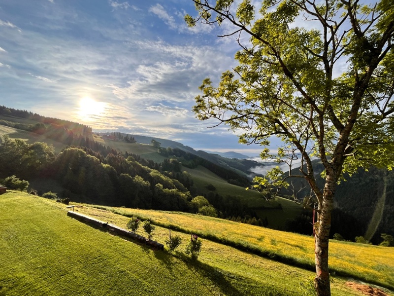 Blick Sonnenaufgang Blick Sonnenaufgang