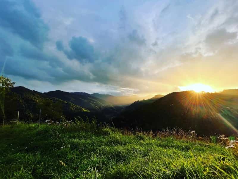 Herbstauf der Alm Herbstauf der Alm