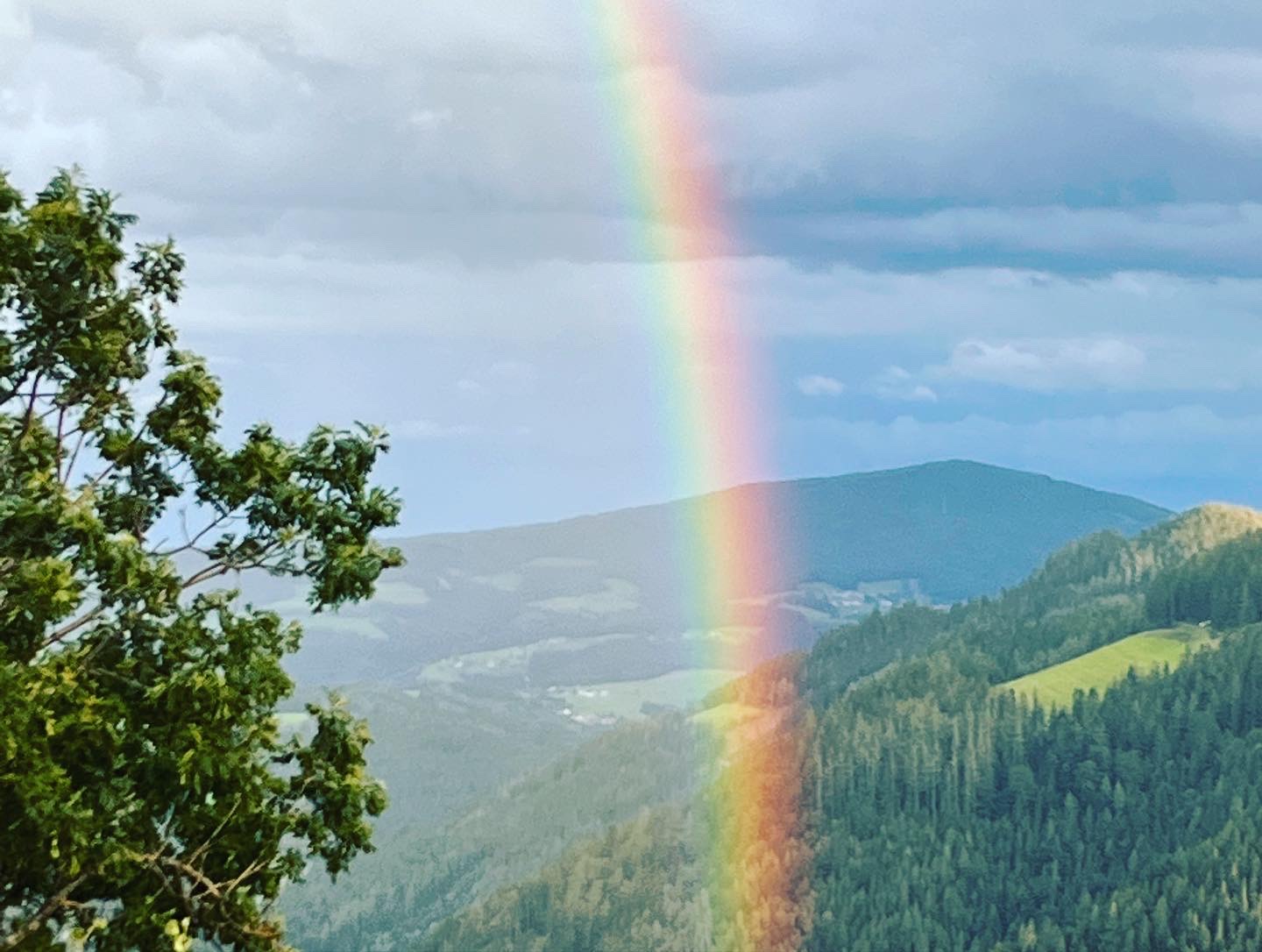 Regenbogen