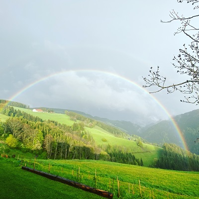 Regenbogen-2